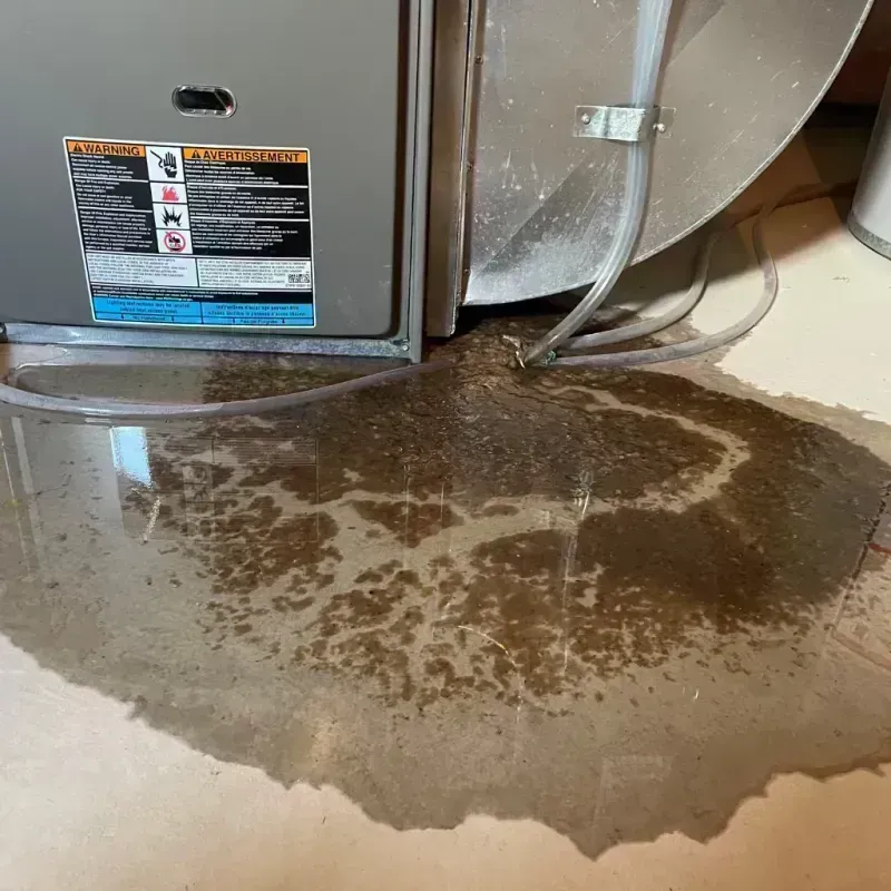 Appliance Leak Cleanup in Mayer, MN